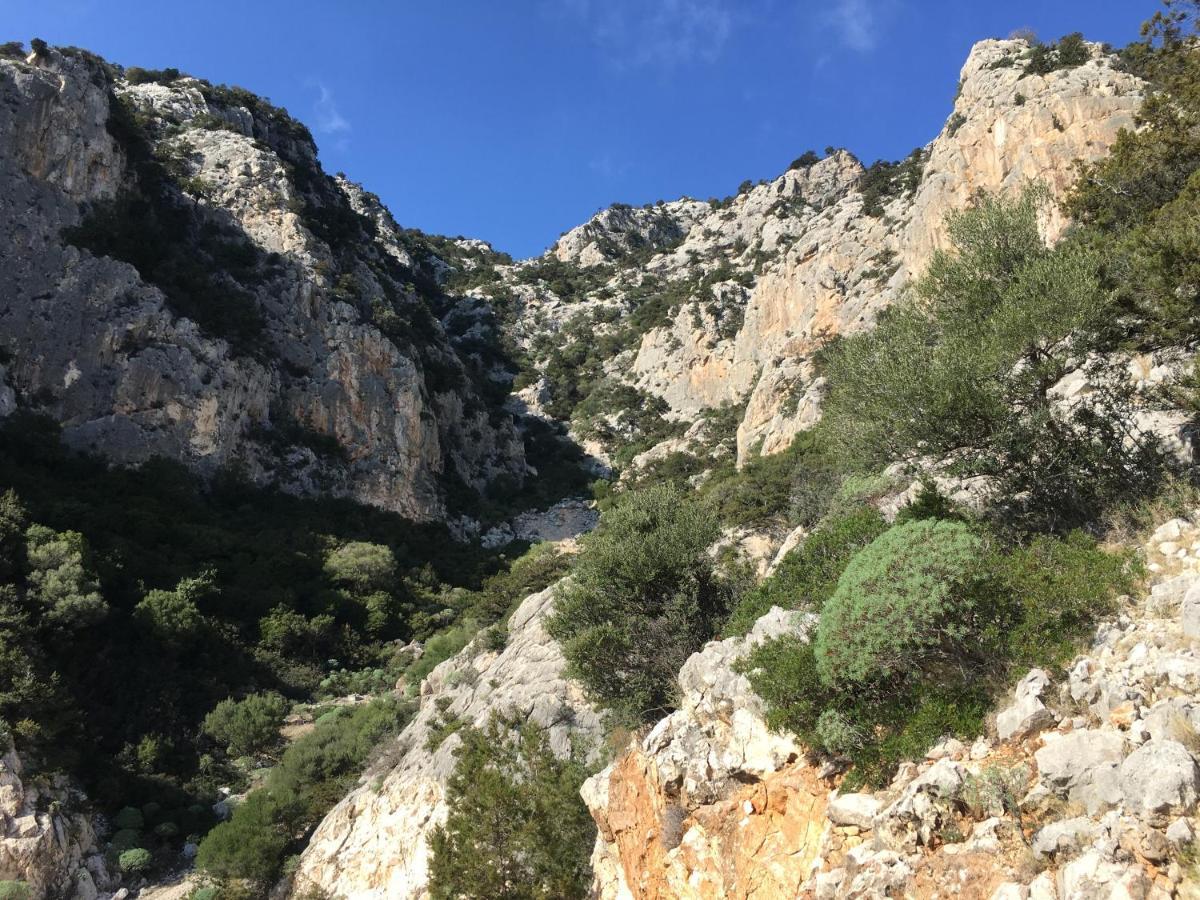 Cav Mameli Aparthotel Dorgali Exterior foto